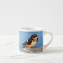 Search for swallow mugs Animal