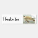 Search for turtle bumper stickers I brake for