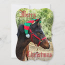 Search for colt christmas cards Horse