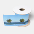 Search for palm trees ribbon Beach