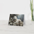 Search for wolfs cards For her