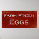 Search for egg posters Chicken