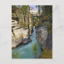 Search for athabasca postcards Rocky mountains