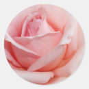 Search for bridalshower stickers Babyshower