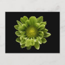 Search for yard postcards Bloom