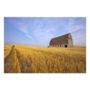Search for pullman posters Farm