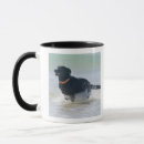 Search for cadiz mugs Spain