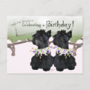 Search for scottie scotty invitations Pets
