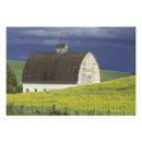 Search for agriculture posters Barn