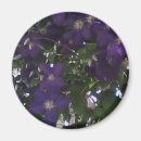 Search for cell phone magnets Purple