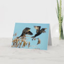 Search for take flight cards Bird