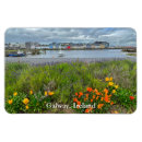 Search for claddagh magnets Ireland