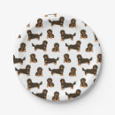 Search for sausage dog plates Pet