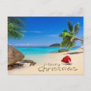 Search for coconut christmas cards Beach