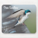 Search for swallow mousepads Wildlife