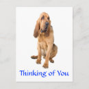 Search for hound cards invites Puppies