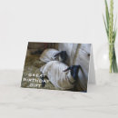 Search for reminder cards Photography