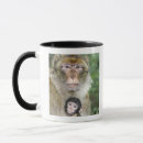 Search for macaque mugs Wildlife