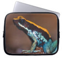 Search for darts cases Nature