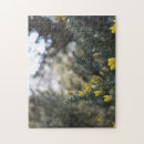 Search for early Floral