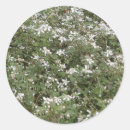 Search for flower patch stickers Blossoms