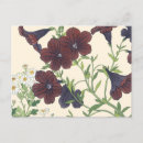Search for morning glory postcards Antique