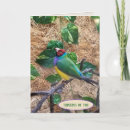 Search for finches cards Tree