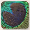 Search for peacock feather coasters Animals