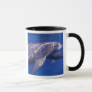 Search for bottlenose dolphin mugs Sea
