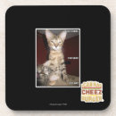 Search for idiots barware I can has cheezburger