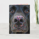 Search for black lab birthday cards Cute