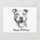 Search for pitbull birthday cards Dog