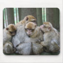 Search for cute monkey mousepads Wildlife