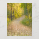 Search for autumn leaf postcards Tree