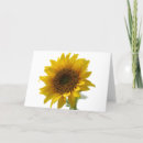 Search for blank floral cards Sunflower