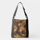 Search for foal accessories Horse