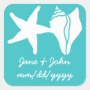 Search for turquoise seashell stickers Aqua