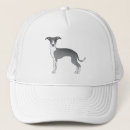 Search for greyhounds hats Sighthound