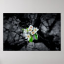Search for focus art White