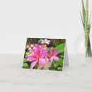 Search for plumeria cards Pink
