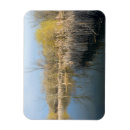 Search for wetlands magnets Nature