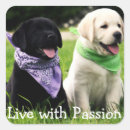 Search for black labrador retriever stickers Yellow lab