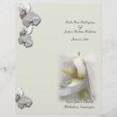 Search for orchid wedding programs White orchids