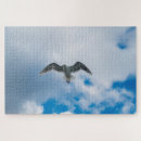 Search for gull puzzles Ocean