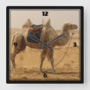 Search for camel clocks Sand