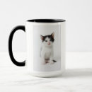 Search for spot mugs Cat
