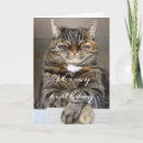 Search for funny cat birthday cards Feline