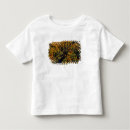 Search for michigan state tshirts River