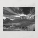 Search for waterfowl postcards Canada