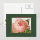 Search for blank postcards Vintage